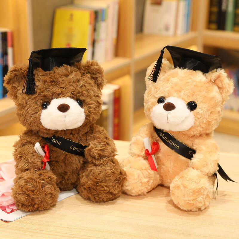 Graduation Gift Dr. Bear Plush Toy