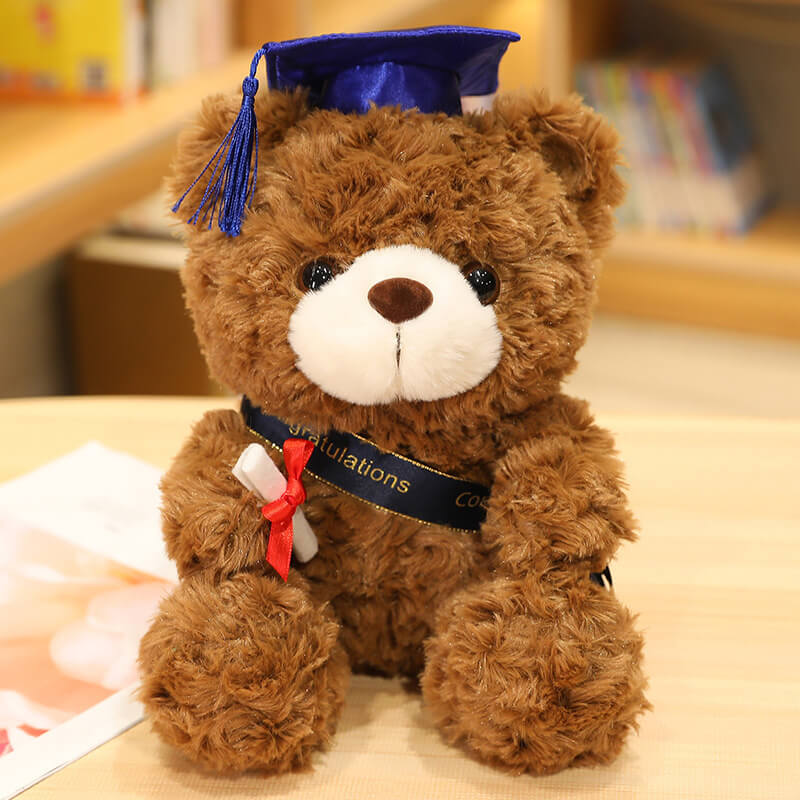 Graduation Gift Dr. Bear Plush Toy