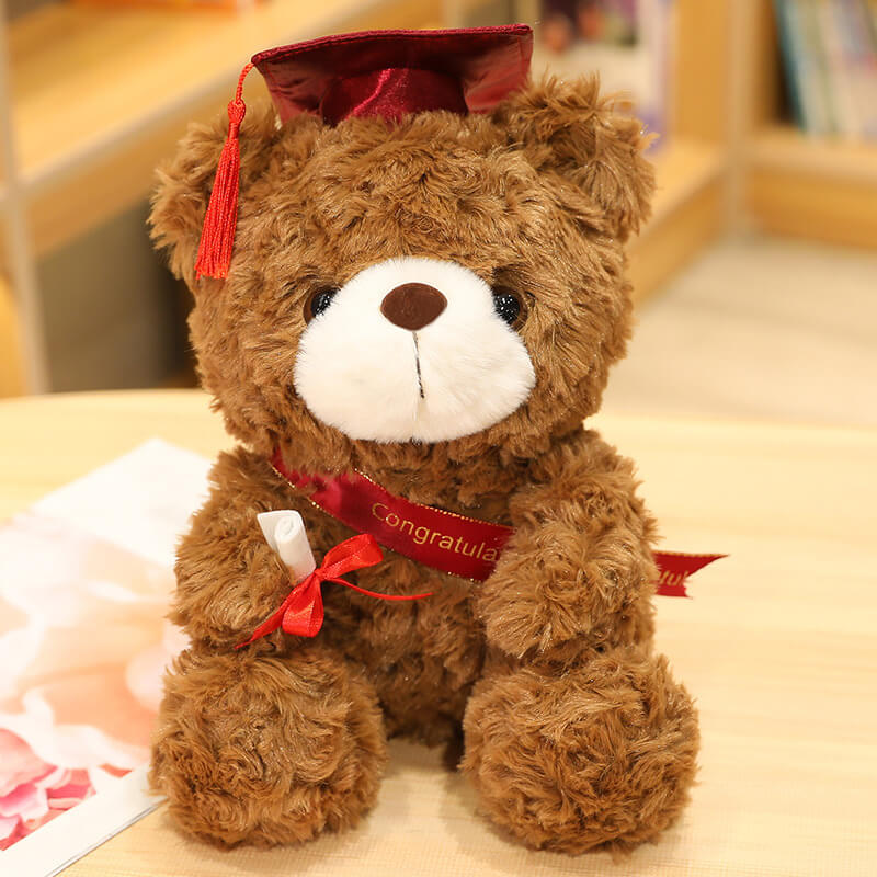 Graduation Gift Dr. Bear Plush Toy