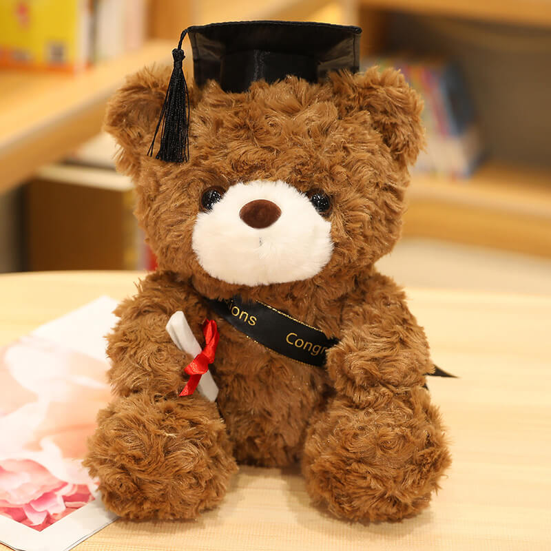 Graduation Gift Dr. Bear Plush Toy