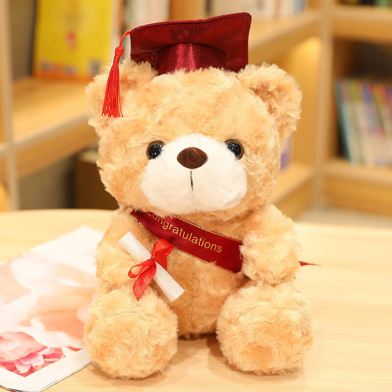 Graduation Gift Dr. Bear Plush Toy