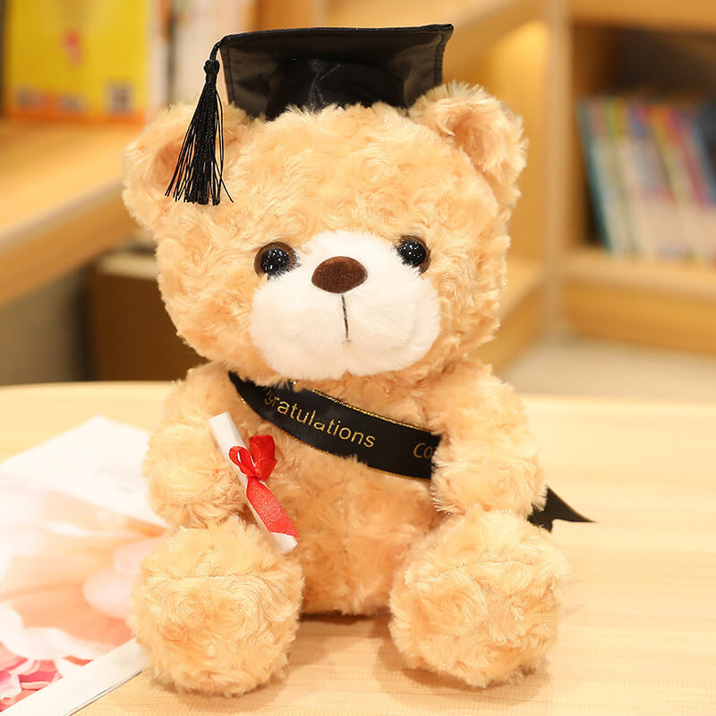 Graduation Gift Dr. Bear Plush Toy