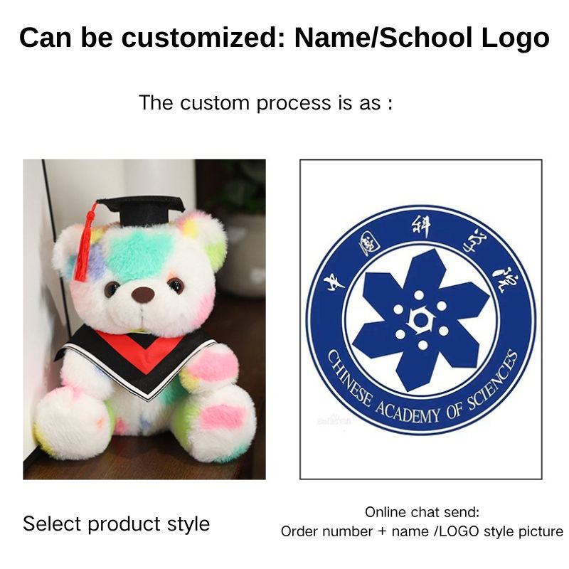 Hot Sale Dyed Graduation Gift Dr. Bear Plush Doll (Can be customized)